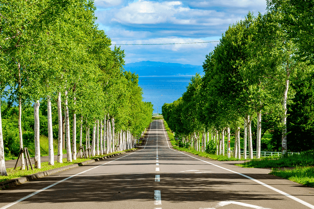 データバンク株式会社